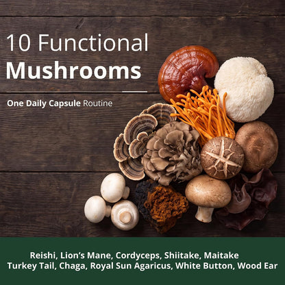 10X Mushroom Supplement w/ Lions Mane & Reishi – Cognitive Support – 60 Ct