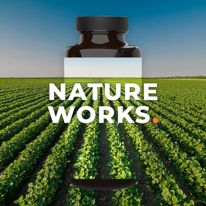 PreMense-T - PMS Relief Supplement - Ginger, Cramp Bark, Black Cohosh, Dong Quai, Chasteberry & Vitamin B6
