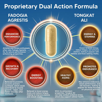 Fadogia Agrestis with Tongkat Ali - 1000mg Per Serving - 120 Capsules | Fadogia Agrestis & Tongkat Ali Extract Supplement - Powder Complex Pills for Men and Women