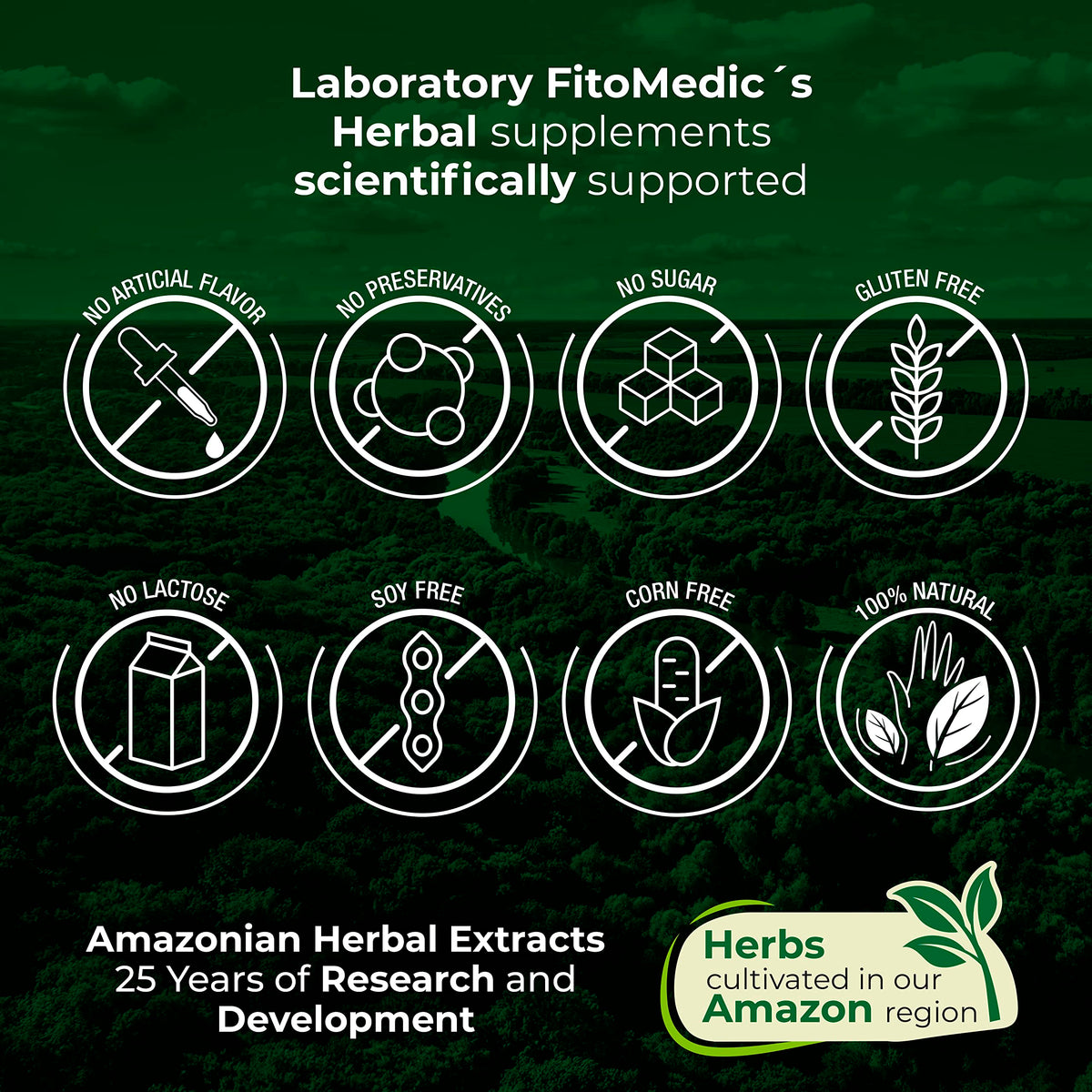 Lab | Lions Mane | 5000 mg per Serving | 120 Capsules | lions mane supplement | lions mane