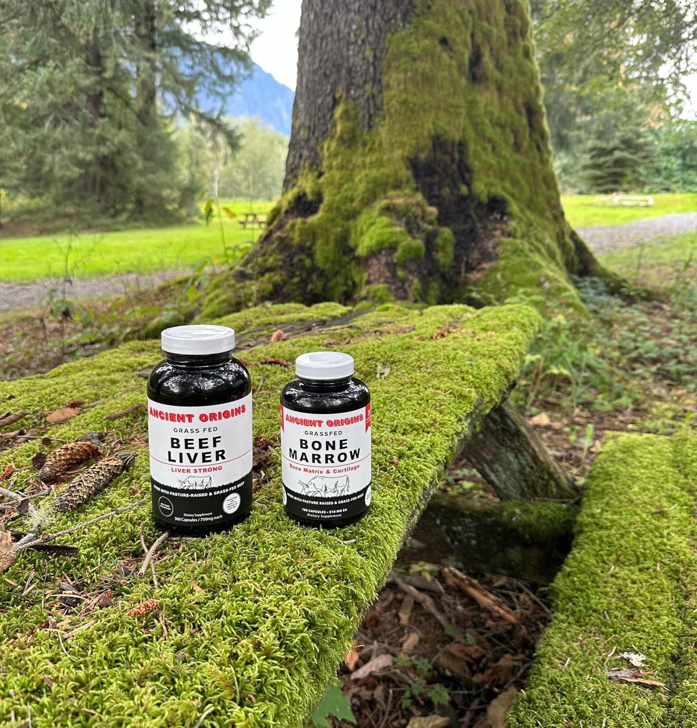 Ancient Origins Grass Fed Beef Liver 360 Capsules, 750 mg Each and Bone Marrow 180 Capsules 510 mg Each