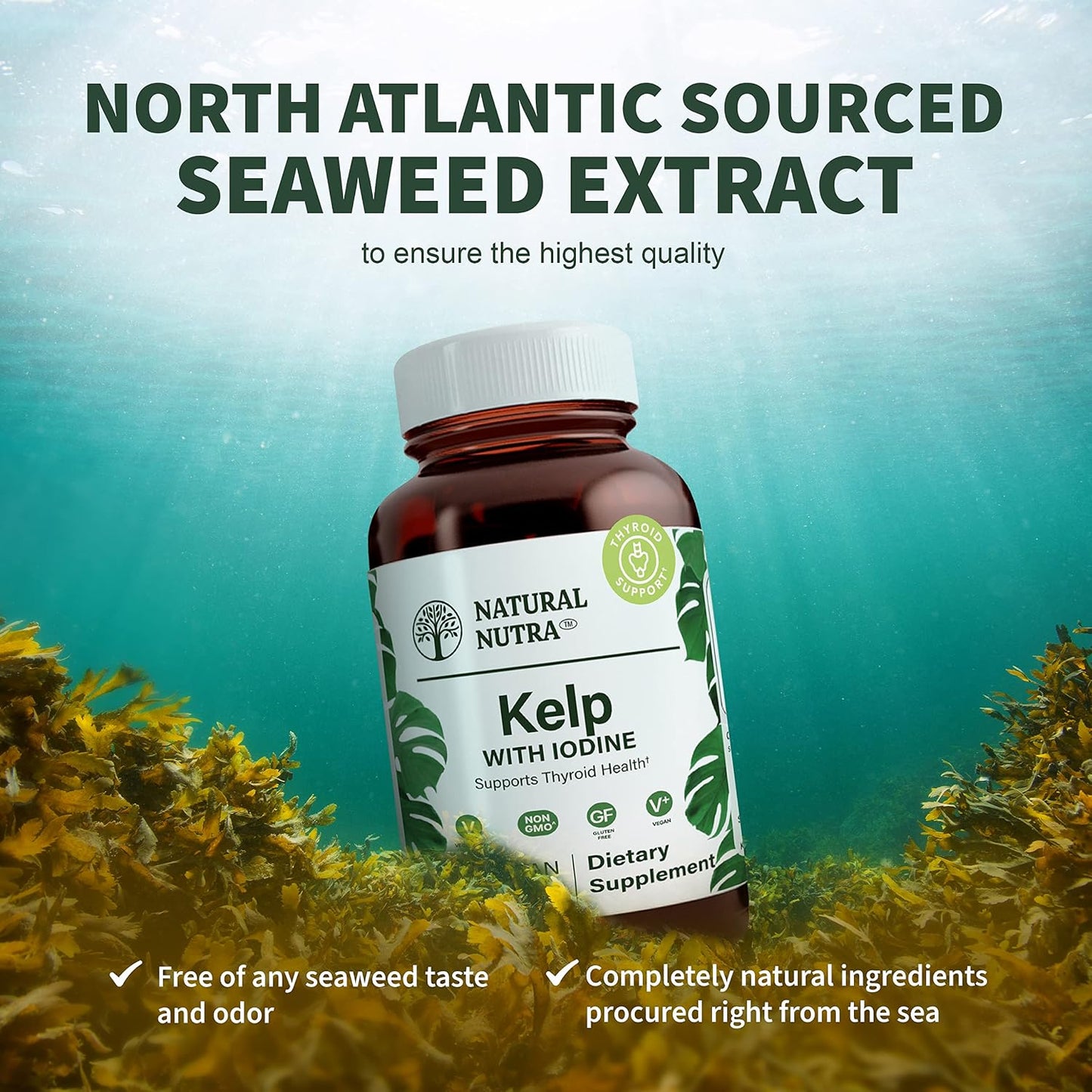 Natural Nutra Kelp Iodine with Potassium Iodide 225 mcg, 100 Tablets | Thyroid Support Supplement with Vegan Sea Kelp, Immune Strength & Metabolism Balance Formula for Daily Wellness Support