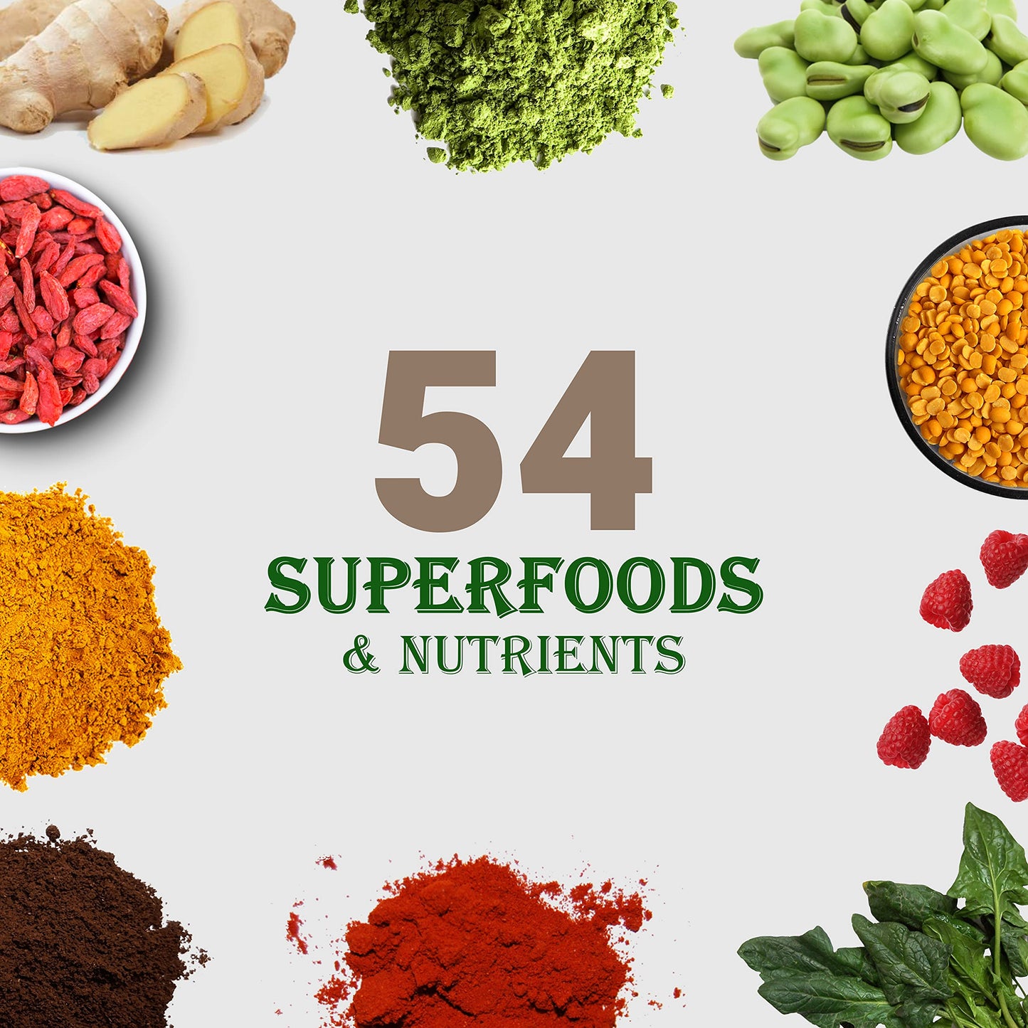 UpNourish Chocolate Vegan Protein Powder 54 Superfoods Powder,1.5 Billion CFU Probiotics 21g Plant Based Protein,No Sugar No Dairy No GMO Dairy Free,Meal Replacement Shake Keto-Friendly Low-Carb Diet,15 Servings
