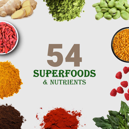 UpNourish Chocolate Vegan Protein Powder 54 Superfoods Powder,1.5 Billion CFU Probiotics 21g Plant Based Protein,No Sugar No Dairy No GMO Dairy Free,Meal Replacement Shake Keto-Friendly Low-Carb Diet,15 Servings