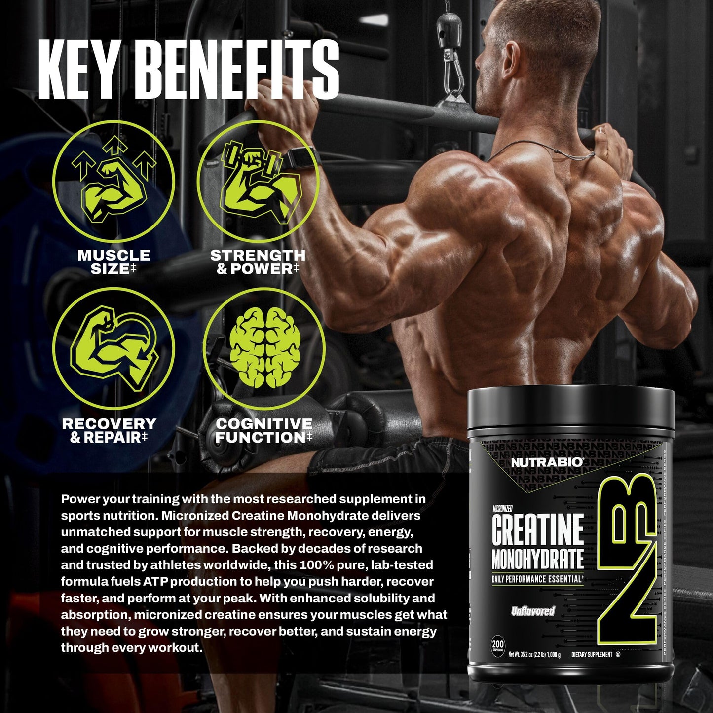 NutraBio Pure Micronized Creatine Monohydrate Powder Supplement, Unflavored, (300 g) - Supports Bulk Muscle Energy, Recovery, and Strength - HPLC Tested Creatine Powder Supplement for Men and Women