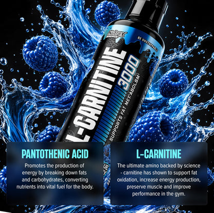 Nutrex Research L Carnitine 3000 - Clinically Dosed L-Carnitine Liquid for Energy, Metabolism & Muscle Recovery - Delicious Strawberry Watermelon - No Sugar, No Carbs, No Stimulants - 31 Servings