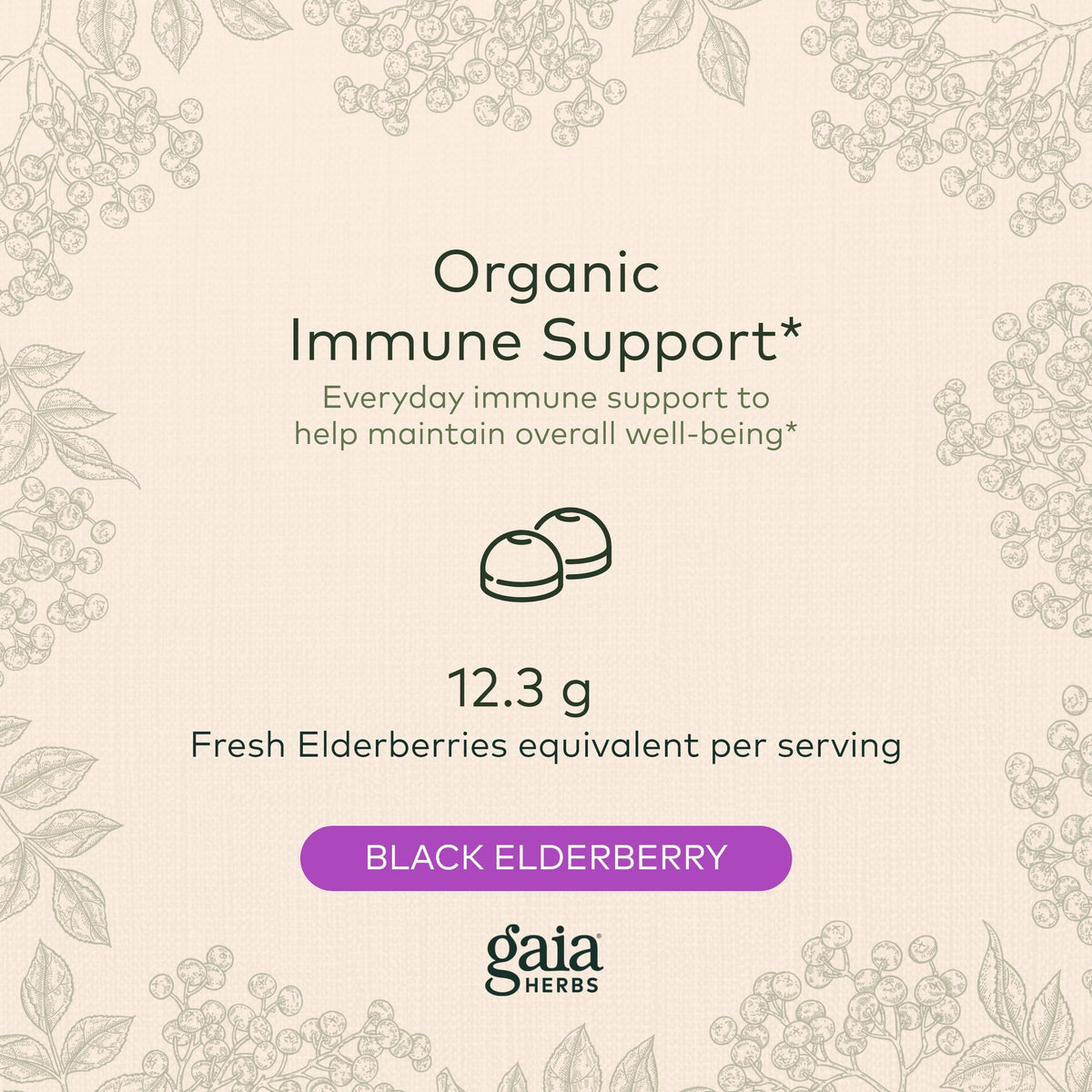 Gaia Herbs Black Elderberry (Sambucus Nigra) Extra Strength Gummies