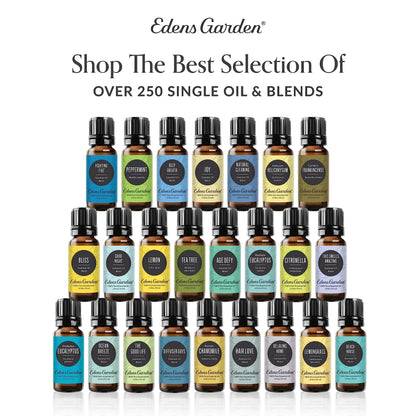 Edens Garden Digest Ease Essential Oil Synergy Blend, 100% Pure Therapeutic Grade