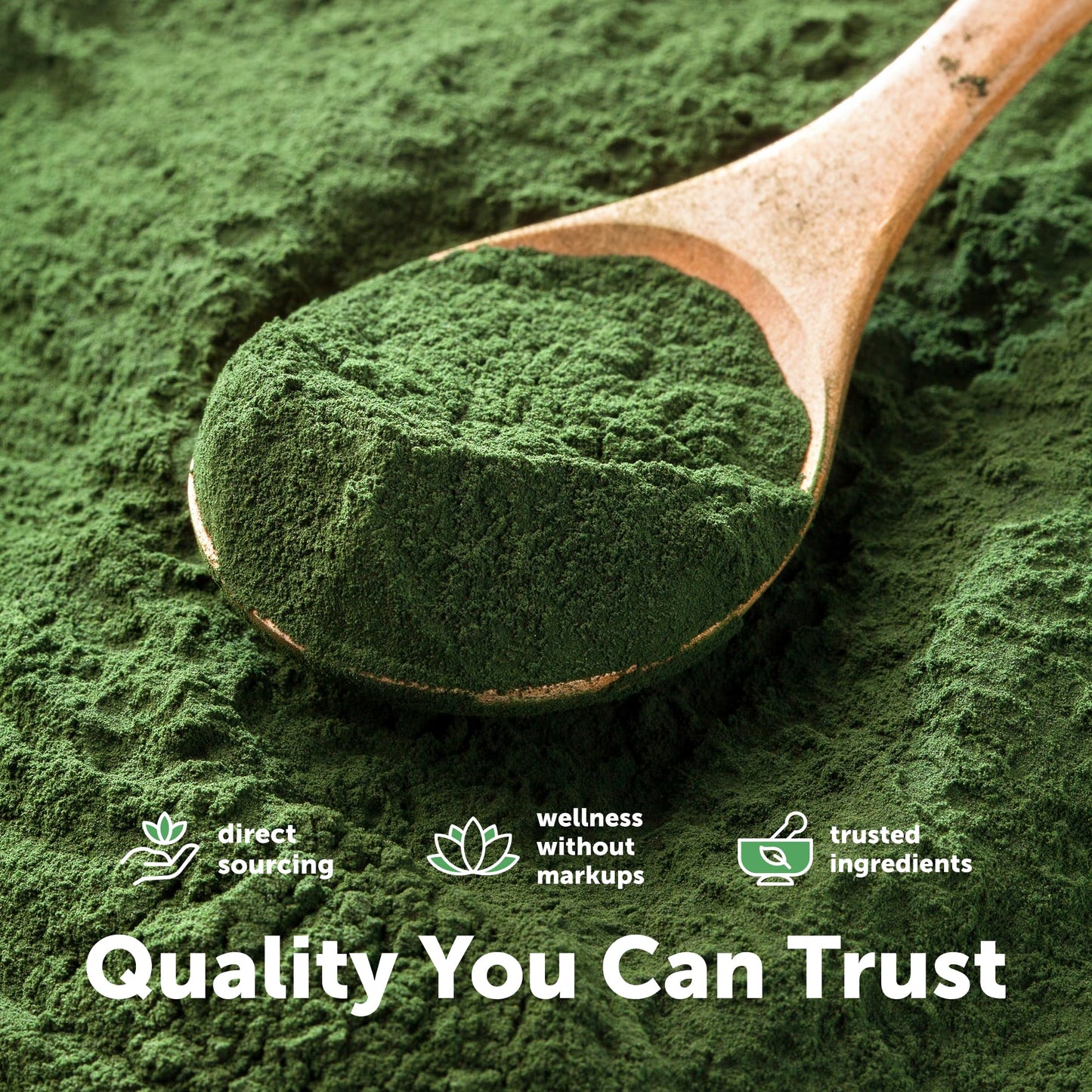 Organic Spirulina Powder, 1lb | Blue-Green Algae, Naturally Occurring Vegan Protein, Vitamins & Minerals | Source of Natural Chlorophyll & Enzymes | Non-GMO, Gluten-Free, No Additives