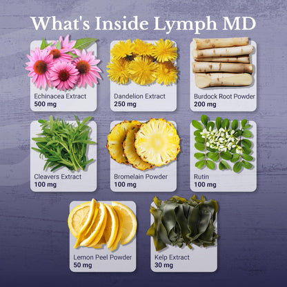 Lymph MD | Lymphatic Drainage Supplement | Lymph Support | Lymph System Support with Bromelain, Echinacea, Burdock Root, Dandelion, Rutin, Kelp. 30 Days Supply. 60 Capsules