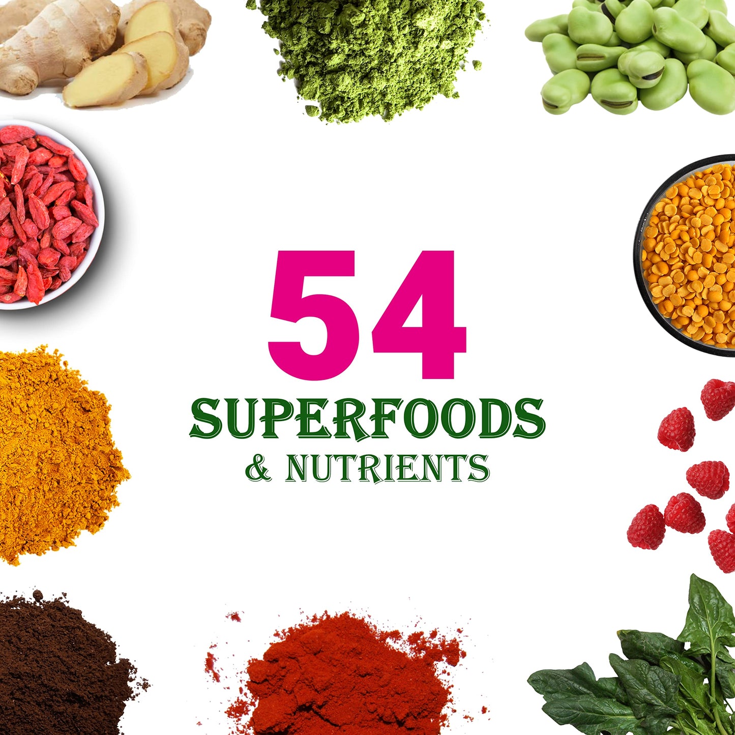 UpNourish Chocolate Vegan Protein Powder 54 Superfoods Powder,1.5 Billion CFU Probiotics 21g Plant Based Protein,No Sugar No Dairy No GMO Dairy Free,Meal Replacement Shake Keto-Friendly Low-Carb Diet,15 Servings