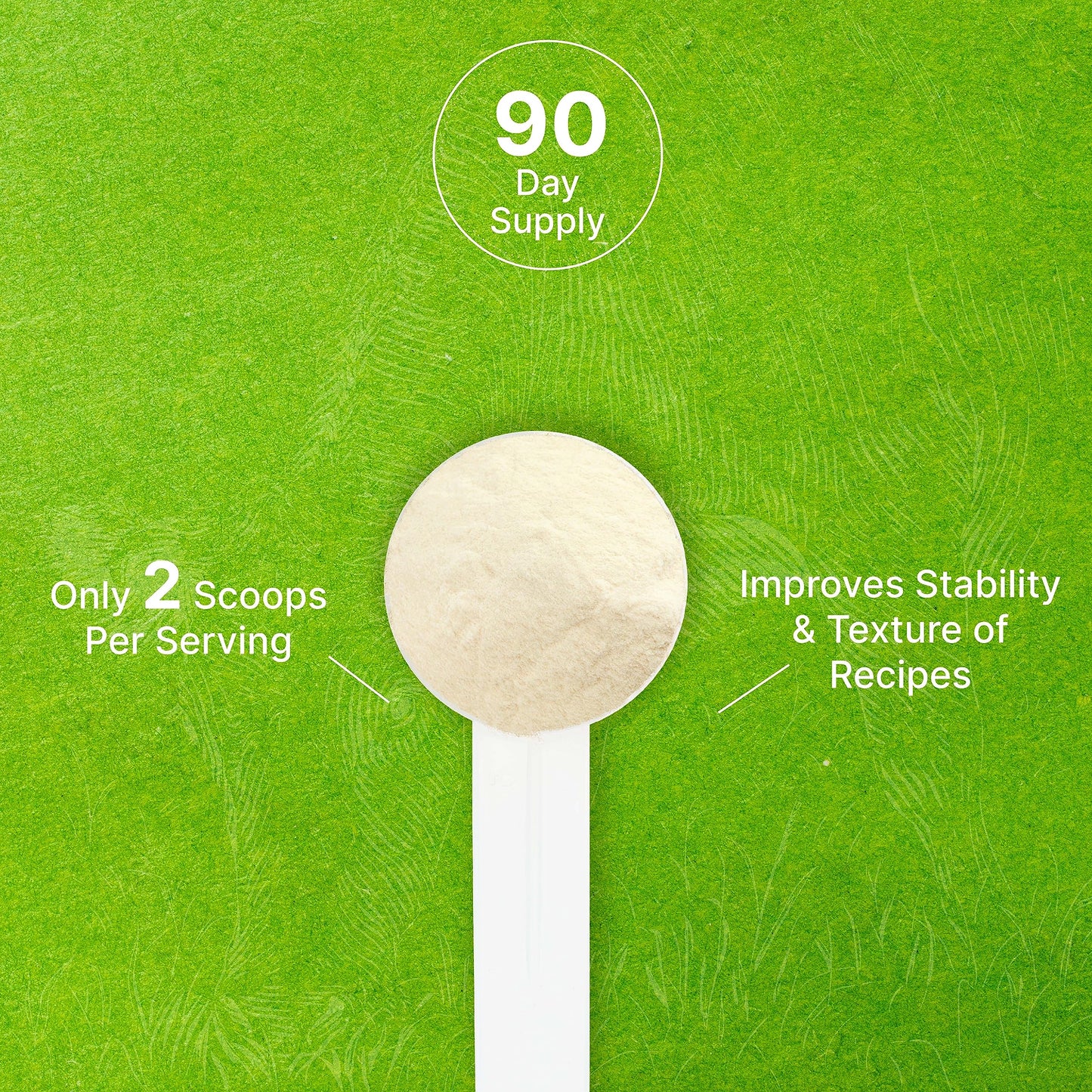 Unflavored Beef Gelatin Powder, 1lb – Grass Fed & Pasture Raised Bovine – Natural Thickener & Stabilizer for Cooking & Baking – High Collagen Protein Source – Non-GMO, Keto Friendly